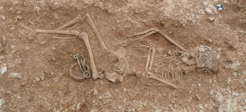 A female skeleton uncovered at the Anglo-Saxon cemetery.